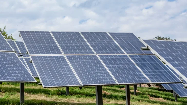 Yenilenebilir enerji 2024’te küresel elektrik üretiminin yüzde 31,7’sini karşıladı: Güneş ve rüzgar belirleyici oldu