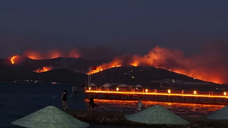Muğla’da alevler kapıya dayandı: Milas’ta gece yarısı kabusu ve karşı ateş mücadelesi!