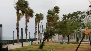 Meteoroloji’den kuvvetli rüzgar uyarısı! Yangın bölgelerinde hızı 70 km’yi bulacak