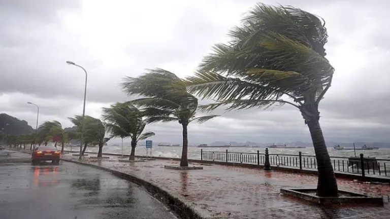 Meteoroloji’den Karadeniz’e sağanak uyarısı! Sıcaklıklarda değişiklik yok